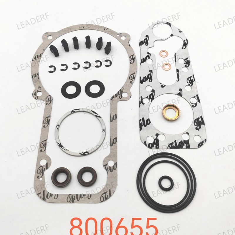 Repair kit/Denso-R801 190890-0271/08727/800655